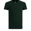 WE Fashion Tricou  verde pin