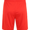 ADIDAS PERFORMANCE Pantaloni sport 'FC Bayern 24/25 Home'  roșu orange / negru