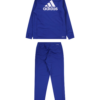 ADIDAS SPORTSWEAR Costum de trening 'Essentials'  albastru / alb