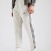 ADIDAS SPORTSWEAR Pantaloni sport 'Essentials'  bej / gri