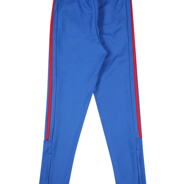 ADIDAS SPORTSWEAR Pantaloni sport 'TIRO'  albastru / verde / alb