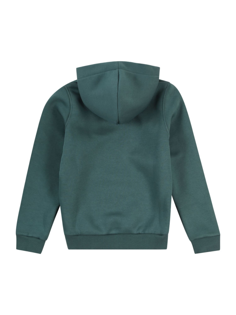 ALPHA INDUSTRIES Bluză de molton  verde închis / portocaliu