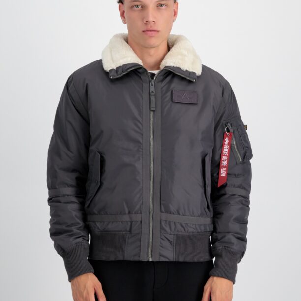 Preţ ALPHA INDUSTRIES Geacă de iarnă 'B15-3 TT'  bej / gri metalic / roșu / negru