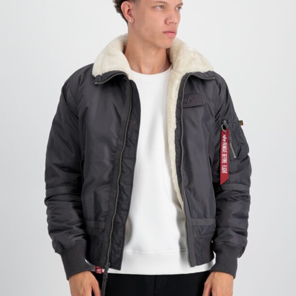 ALPHA INDUSTRIES Geacă de iarnă 'B15-3 TT'  bej / gri metalic / roșu / negru