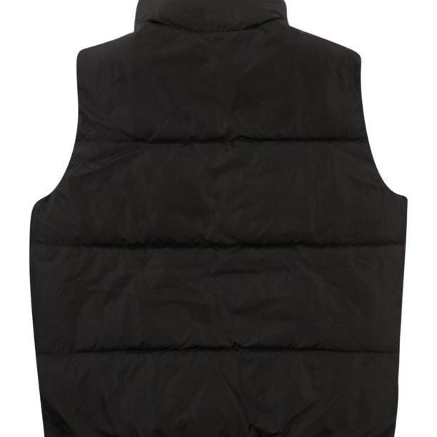 Abercrombie & Fitch Vestă  negru