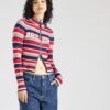 BDG Urban Outfitters Geacă tricotată  albastru marin / gri deschis / roșu / alb