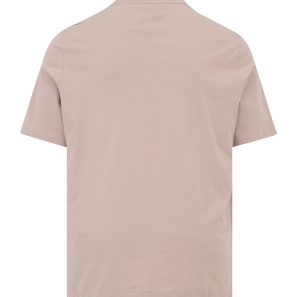 Calvin Klein Big & Tall Tricou  gri taupe / alb