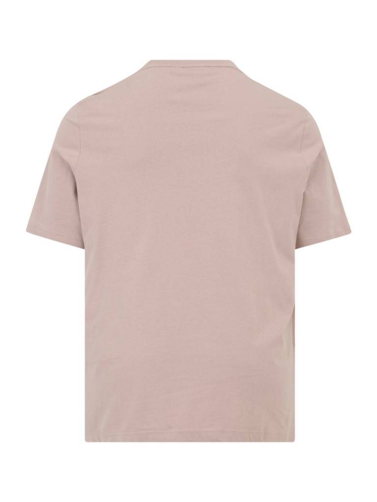 Calvin Klein Big & Tall Tricou  gri taupe / alb