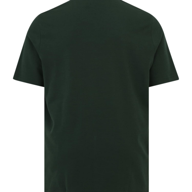 Calvin Klein Big & Tall Tricou  verde închis / alb