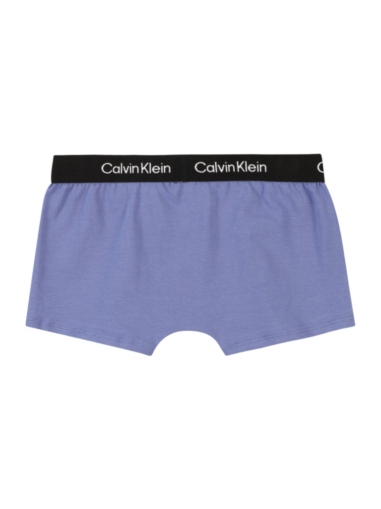 Calvin Klein Jeans Chiloţi  albastru / albastru marin / albastru porumbel / alb