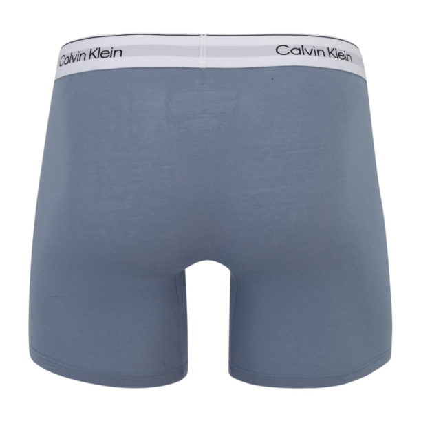 Calvin Klein Underwear Boxeri  albastru / albastru deschis / gri amestecat / alb