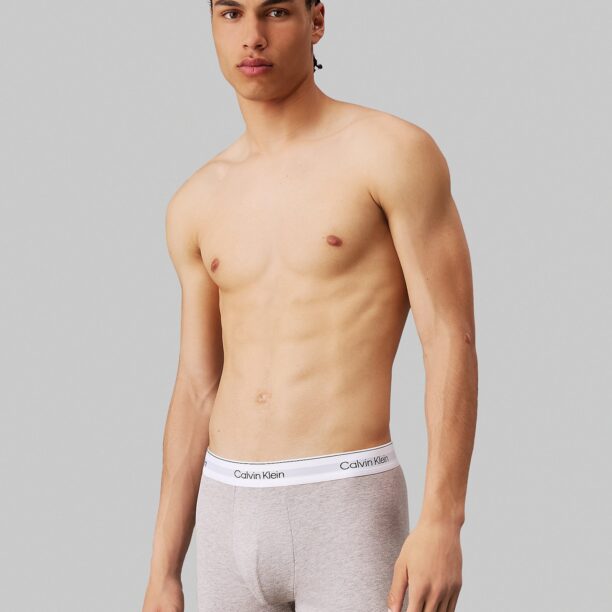 Calvin Klein Underwear Boxeri  gri taupe / verde mentă / negru / alb