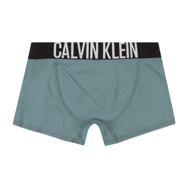 Calvin Klein Underwear Chiloţi  albastru porumbel / galben / gri închis / verde închis / negru