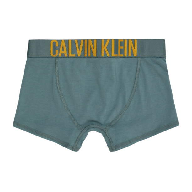 Calvin Klein Underwear Chiloţi  galben auriu / verde petrol / negru