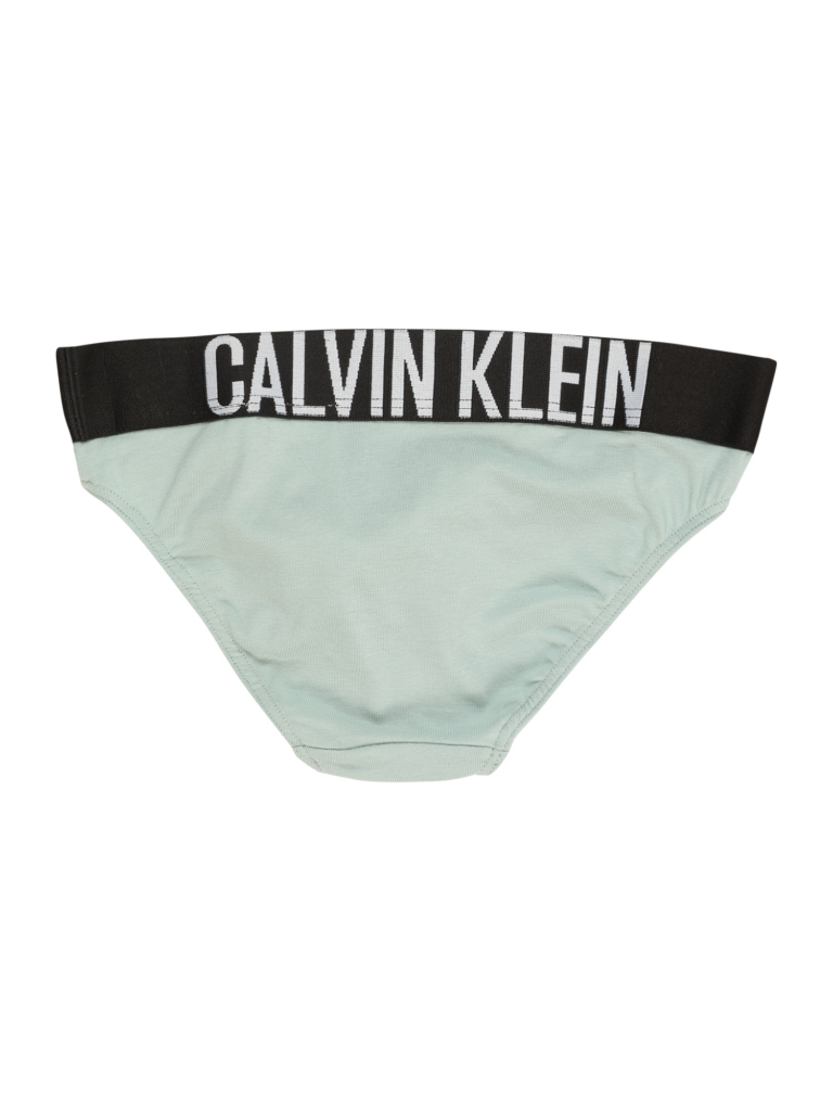 Calvin Klein Underwear Chiloţi  gri închis / verde pastel / roz pastel / alb