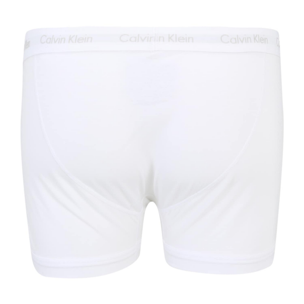 Calvin Klein Underwear Plus Boxeri  gri amestecat / negru / alb