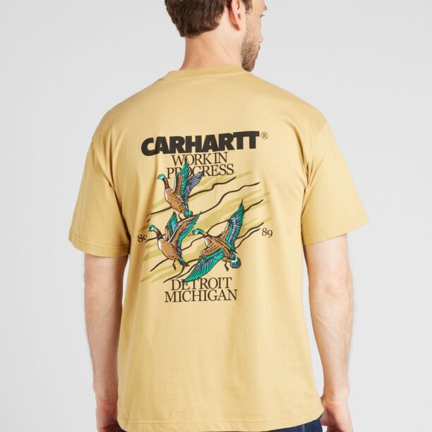 Carhartt WIP Tricou 'Ducks'  maro / galben lămâie / verde / negru