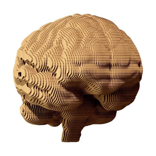 Cartonic puzzle 3d Brain