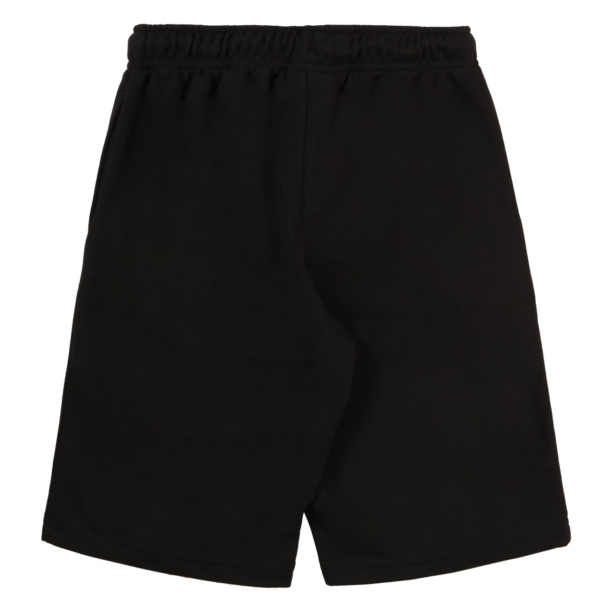 Champion Authentic Athletic Apparel Pantaloni 'ICONS'  sângeriu / negru / alb