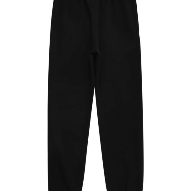 Champion Authentic Athletic Apparel Pantaloni  albastru / roșu / negru / alb