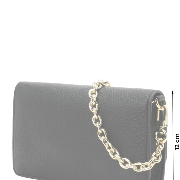 Chiara Ferragni Clutch  auriu / negru