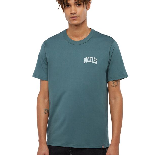 DICKIES Tricou 'AITKIN'  verde mentă / verde jad / alb preţ