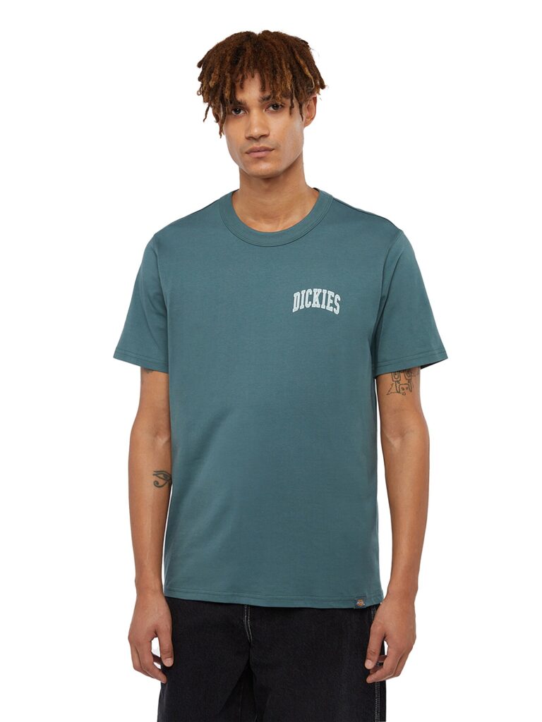 DICKIES Tricou 'AITKIN'  verde mentă / verde jad / alb preţ