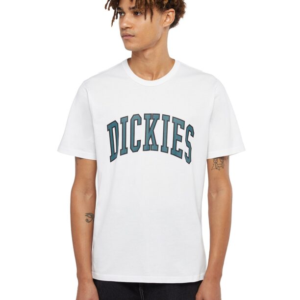 DICKIES Tricou 'AITKIN'  verde / negru / alb preţ