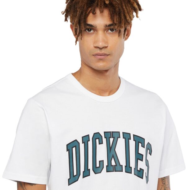 Original DICKIES Tricou 'AITKIN'  verde / negru / alb