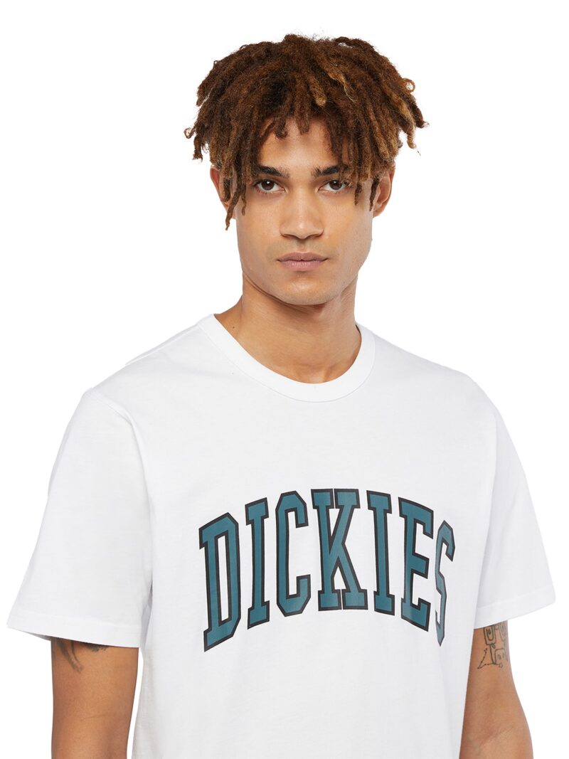 Original DICKIES Tricou 'AITKIN'  verde / negru / alb