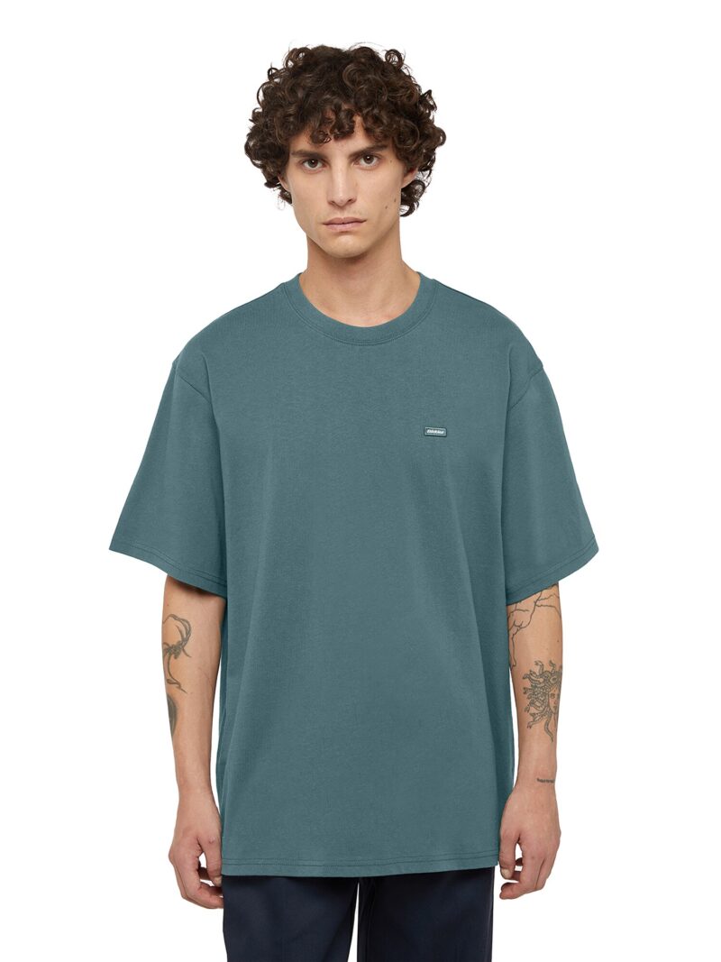 DICKIES Tricou 'CLANCY '  verde / mai multe culori preţ