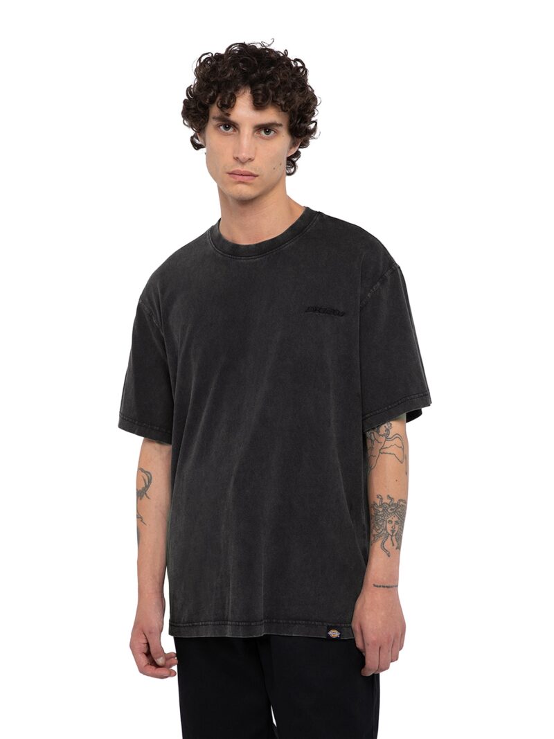 DICKIES Tricou 'PLENTYWOOD TEE SS'  negru preţ