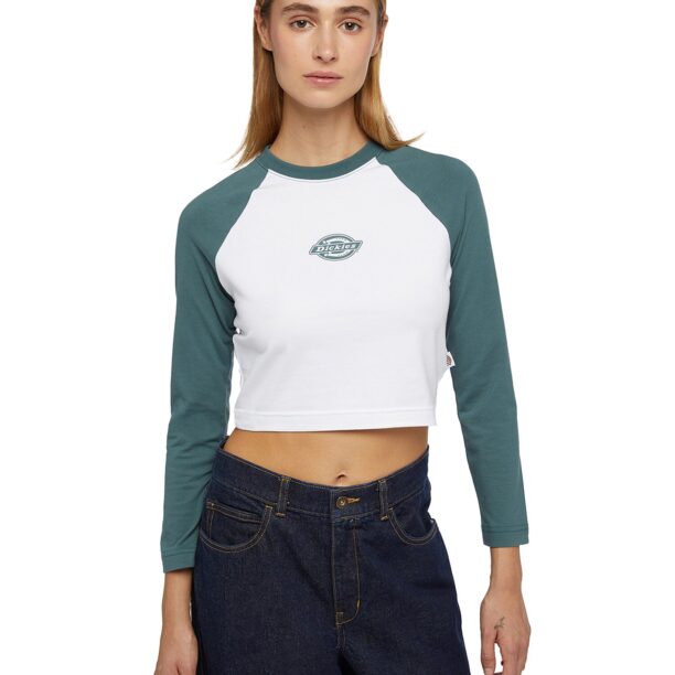 DICKIES Tricou 'SODAVILLE'  verde / alb preţ