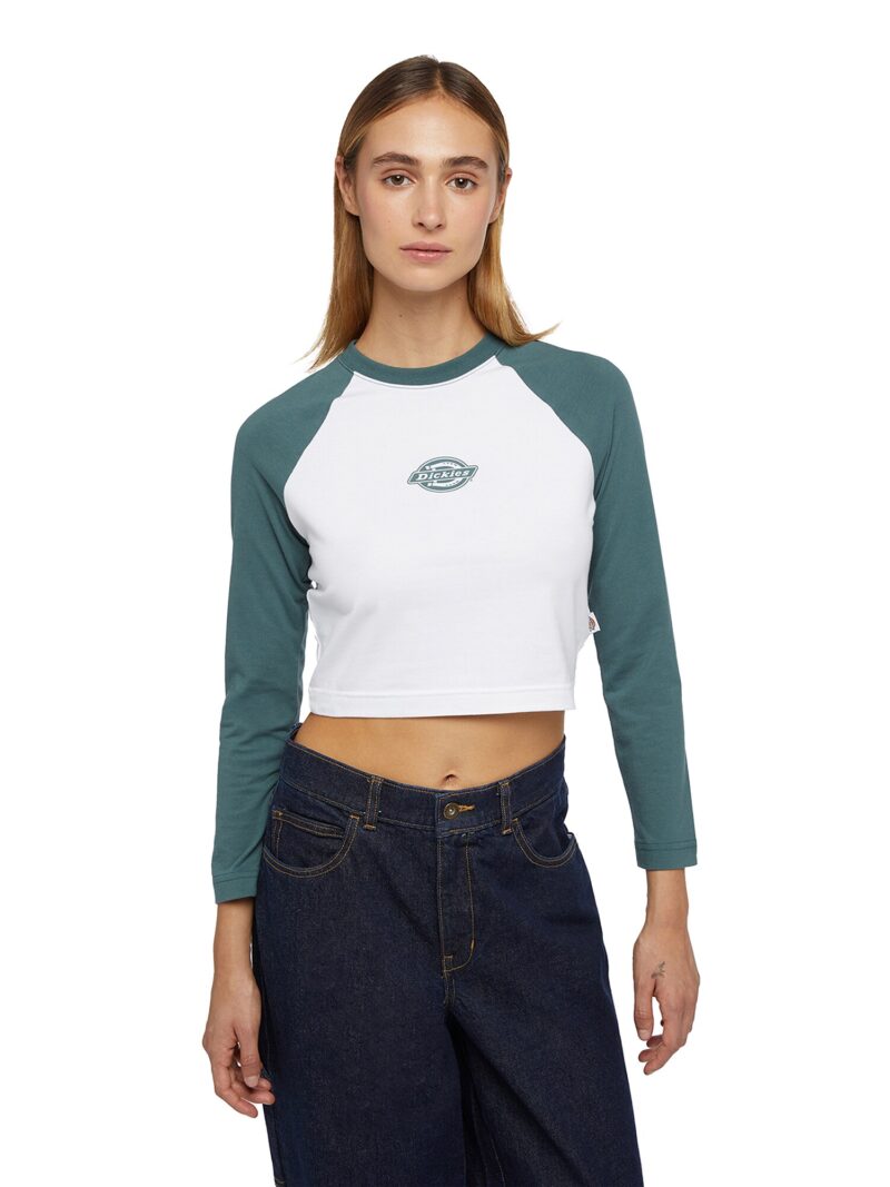 DICKIES Tricou 'SODAVILLE'  verde / alb preţ