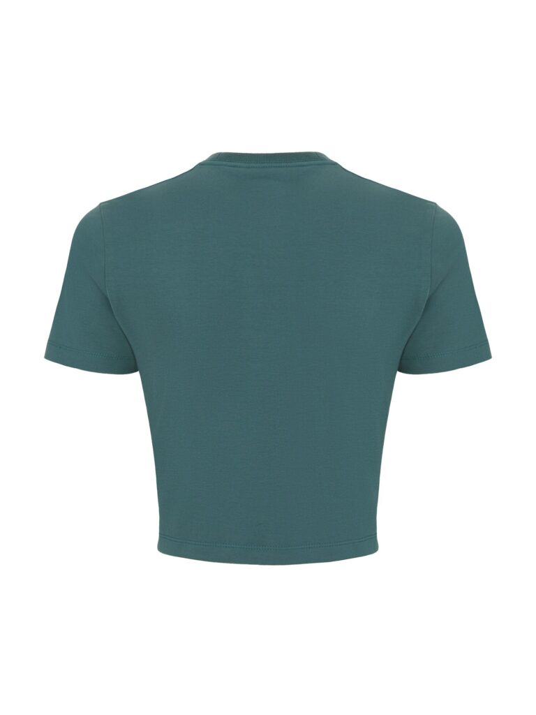 DICKIES Tricou  verde smarald