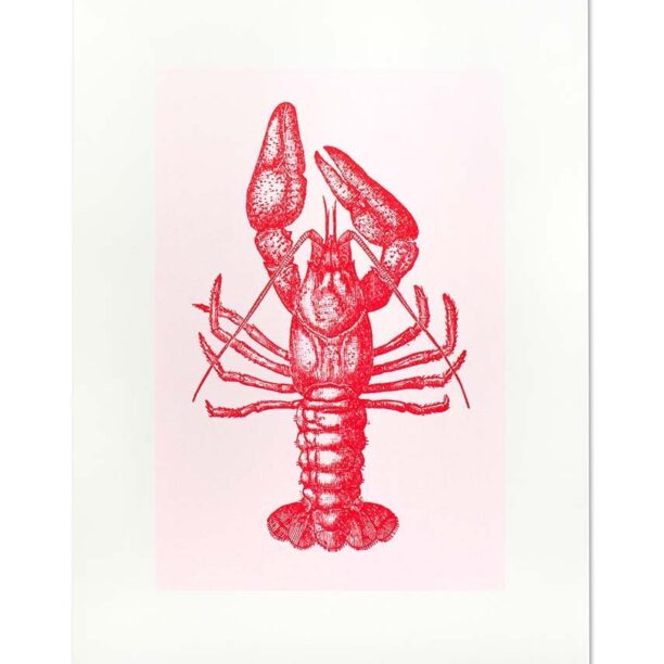 Donkey decoratiune de perete "Lobster"