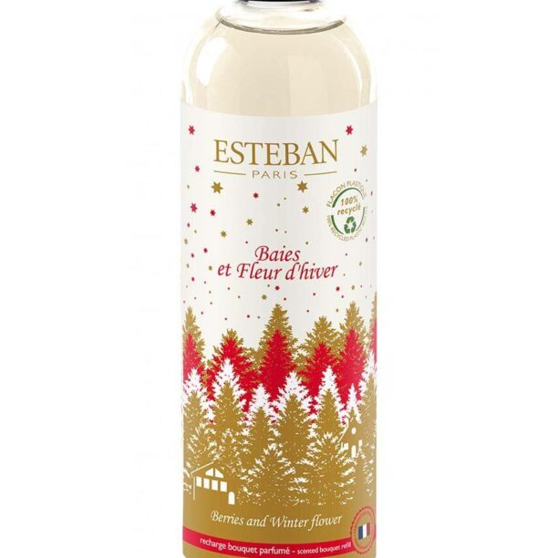 Esteban complement la difuzor Berries and Winter Flower 250 ml