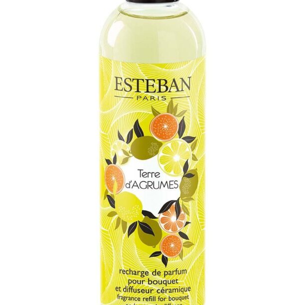 Esteban complement la difuzor Terre dAgrumes 250 ml