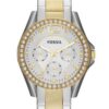 Fossil - Ceas ES3204