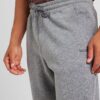 HOLLISTER Pantaloni  gri