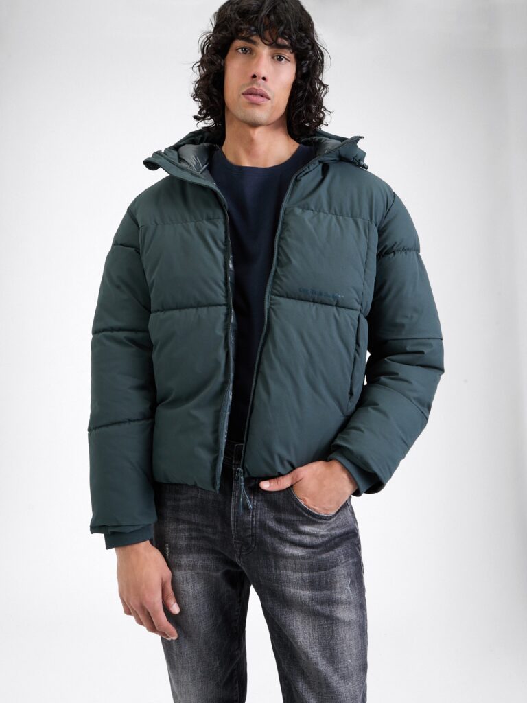 JACK & JONES Geacă de iarnă 'JORVesterbro'  verde pin