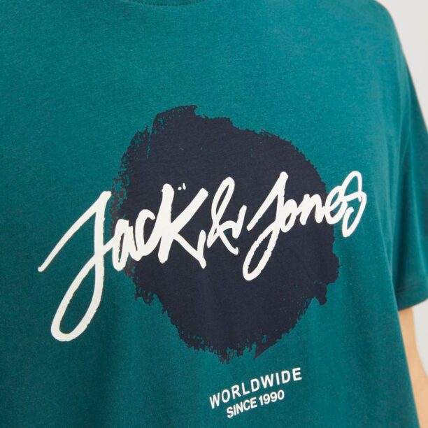 JACK & JONES Tricou 'JJTiley'  verde pin / negru / alb preţ