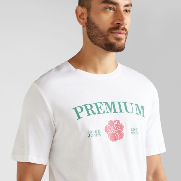 JACK & JONES Tricou 'JPRBLAALFIE'  verde jad / roșu cranberry / alb preţ