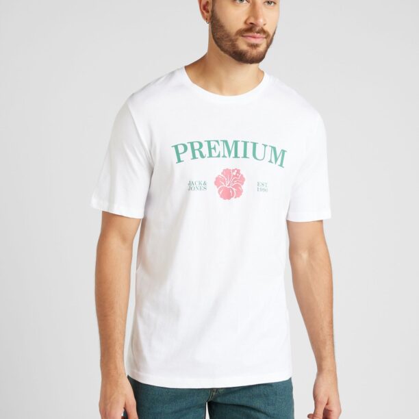 Preţ JACK & JONES Tricou 'JPRBLAALFIE'  verde jad / roșu cranberry / alb