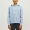 Jack & Jones Junior Bluză de molton 'JORVESTERBRO'  albastru deschis / alb