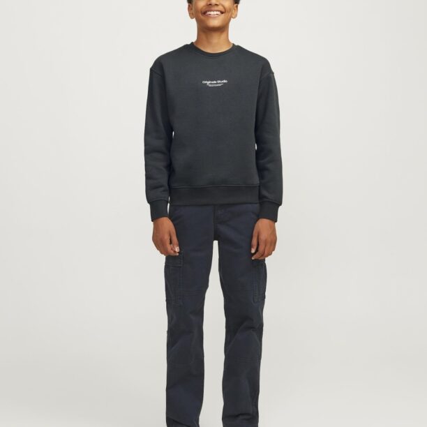 Preţ Jack & Jones Junior Bluză de molton 'JORVESTERBRO'  verde pin / alb