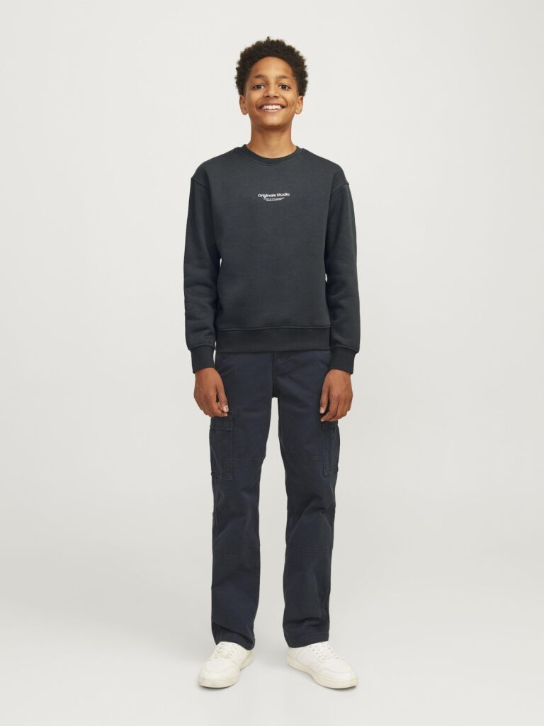 Preţ Jack & Jones Junior Bluză de molton 'JORVESTERBRO'  verde pin / alb