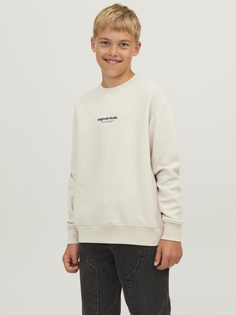 Jack & Jones Junior Bluză de molton 'JORVesterbro'  bej / negru preţ