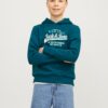 Jack & Jones Junior Bluză de molton  turcoaz / verde smarald / alb