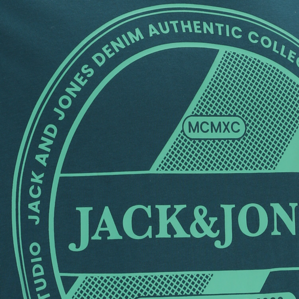 Jack & Jones Plus Tricou 'JJRIO'  verde jad / verde închis preţ